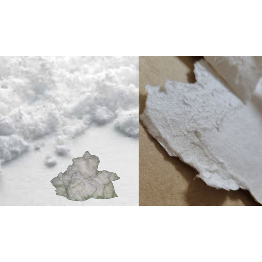 Soft Pulp